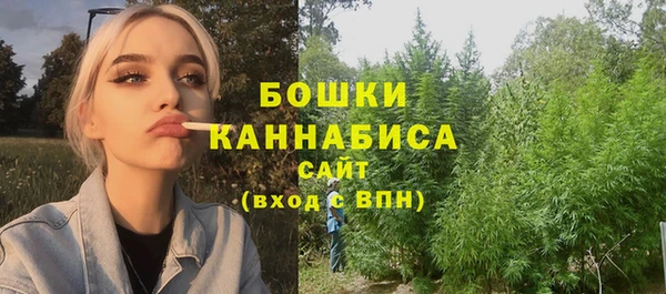 трава Осинники