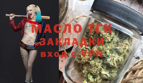 молекула духа Вяземский