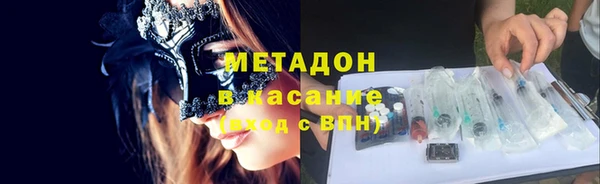 молекула духа Вяземский