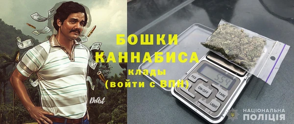 трава Осинники