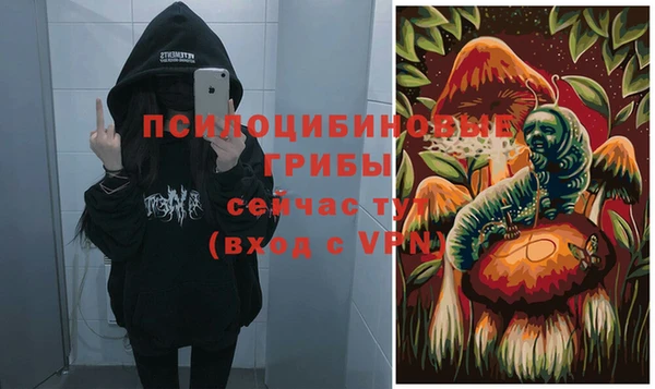 трава Осинники