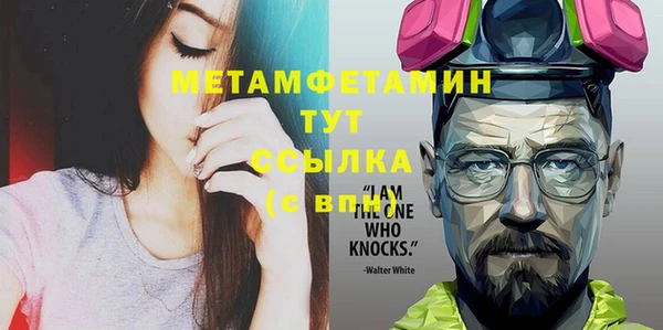 молекула духа Вяземский