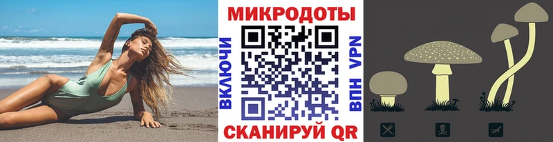 Псилоцибиновые грибы прущие грибы Чкаловск